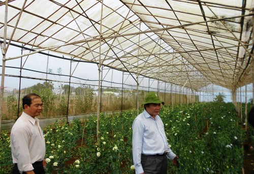 Католики в уезде Донзыонг развивают сельское хозяйство с применением высоких технологий - ảnh 2